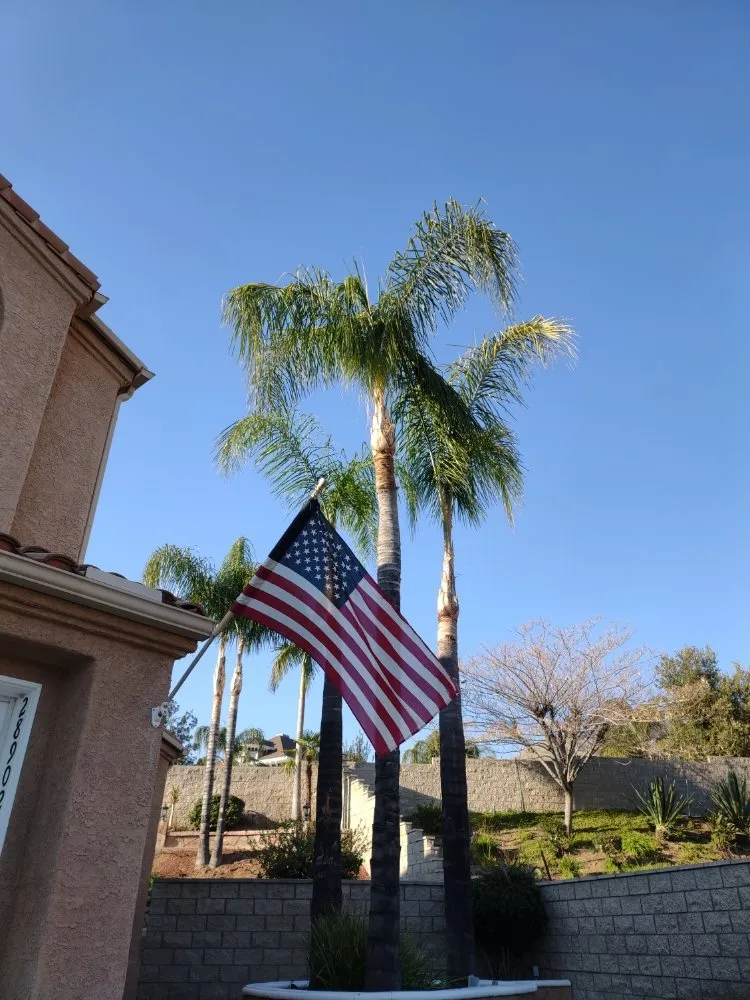 Custom yard cleanup service in Riverside, CA - Camarillos Tree Service