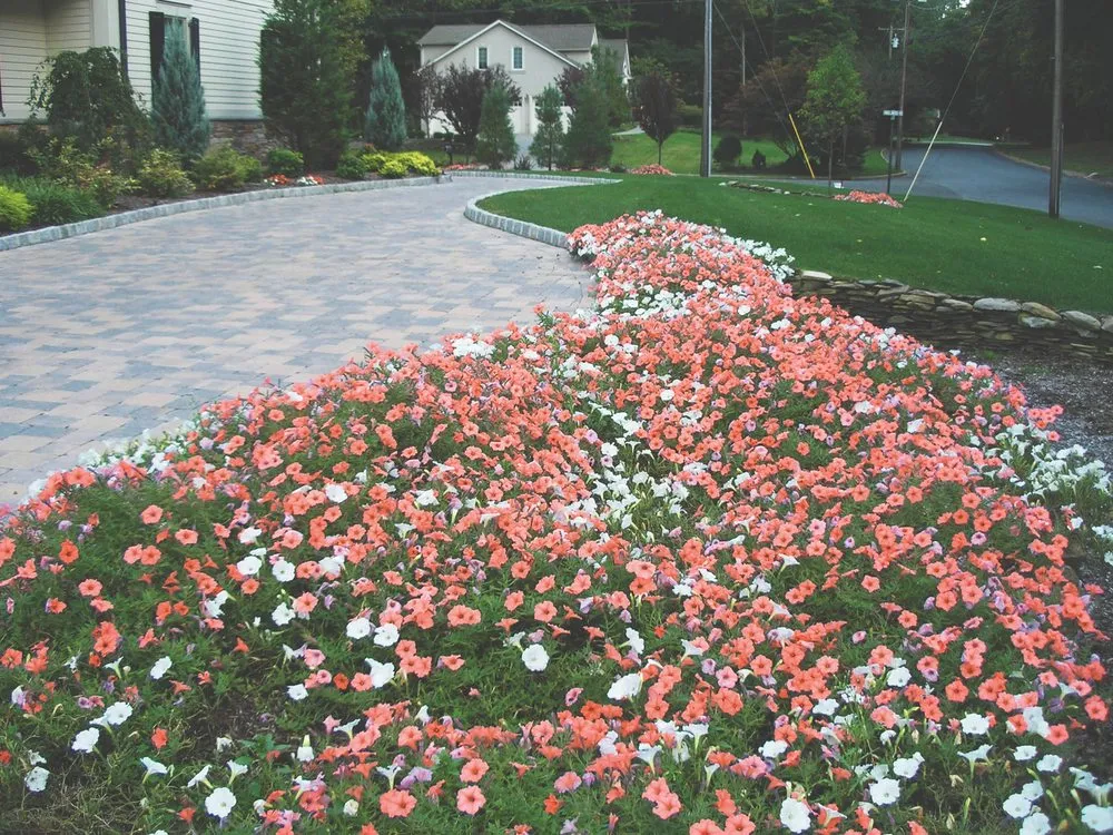 Top-rated lawn mowing service in Tenafly, NJ by Camberly Gardens