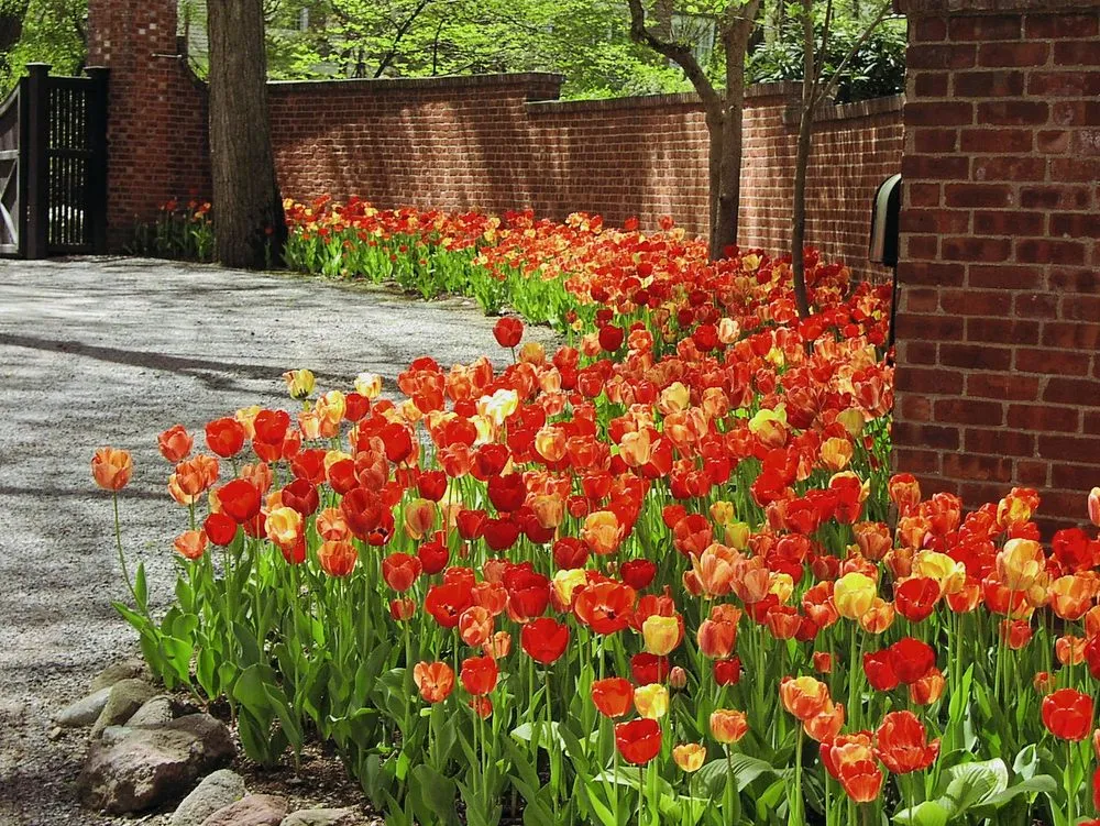 Trusted garden landscaping for outdoor upgrades in Tenafly, NJ by Camberly Gardens