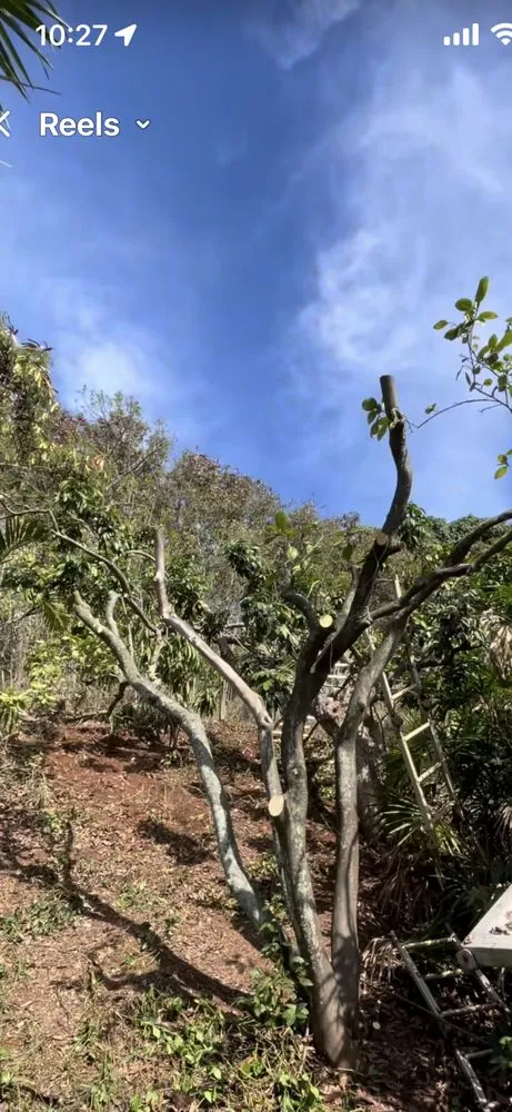 Top-rated garden landscaping experts serving Honolulu, HI - Cambe’s Yard Services