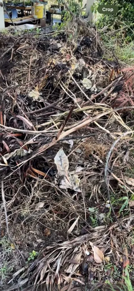 Top-rated lawn care service for residential properties across Honolulu, HI - Cambe’s Yard Services