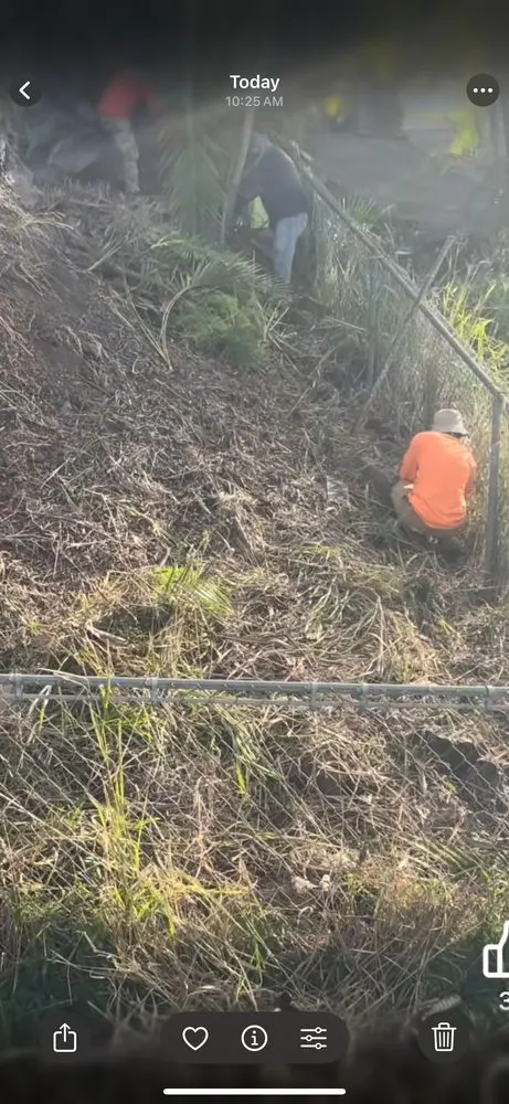 Reliable residential landscaping in Honolulu, HI - Cambe’s Yard Services