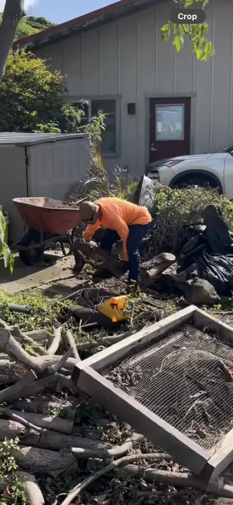 Local landscape installation for beautiful yards in Honolulu, HI by Cambe’s Yard Services