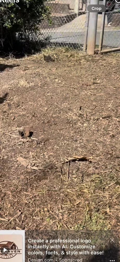 Professional landscape installation in Honolulu, HI by Cambe’s Yard Services