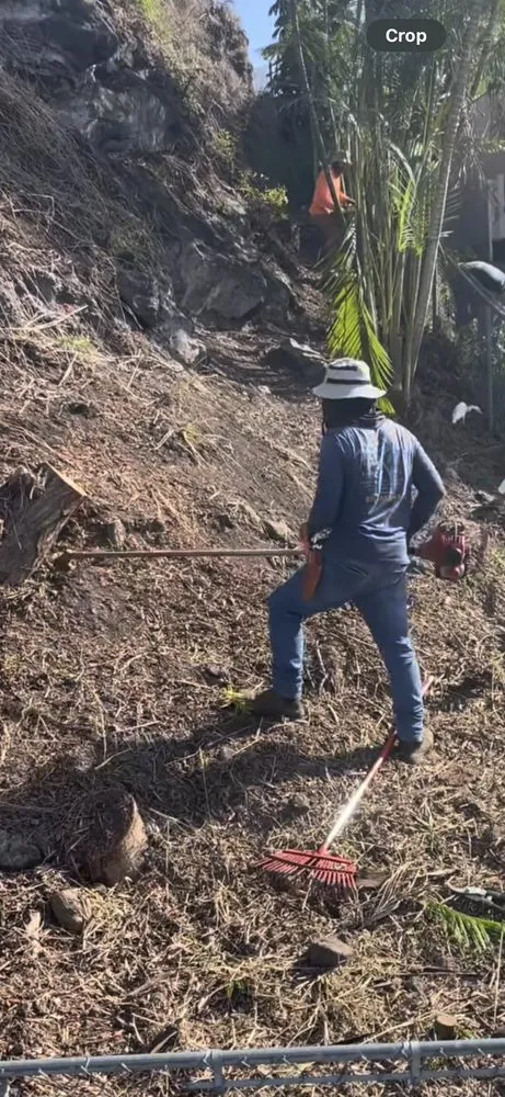 Affordable landscape design with custom design in Honolulu, HI by Cambe’s Yard Services