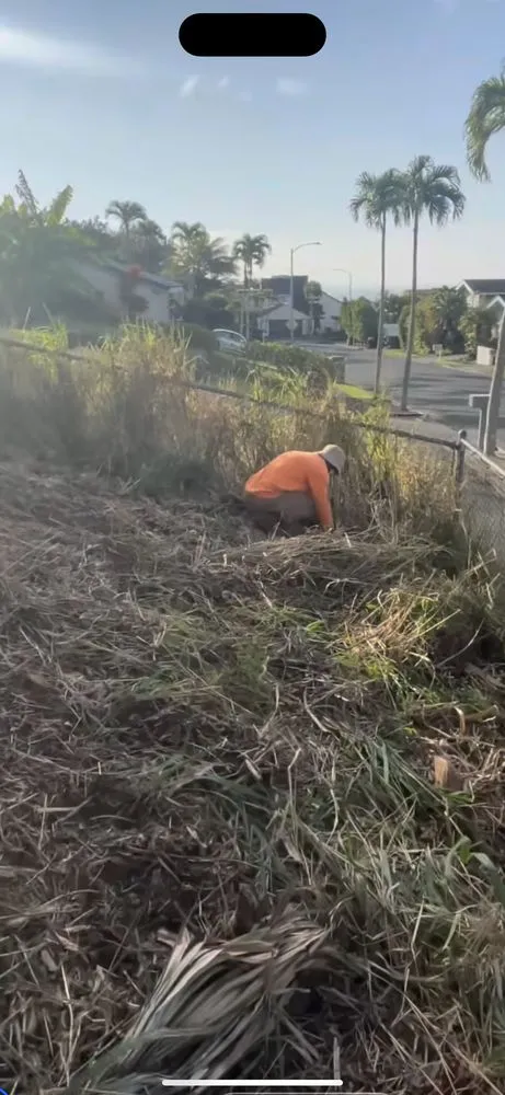 Reliable landscape design experts serving Honolulu, HI - Cambe’s Yard Services