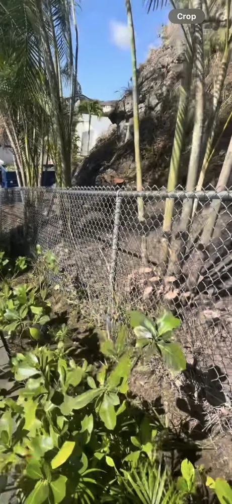 Professional outdoor landscaping experts serving Honolulu, HI - Cambe’s Yard Services