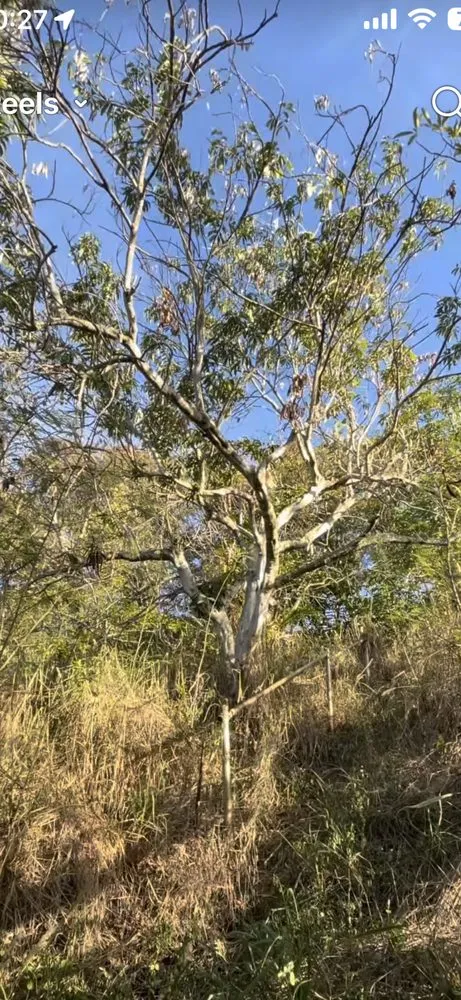 Expert outdoor landscaping for outdoor upgrades across Honolulu, HI - Cambe’s Yard Services