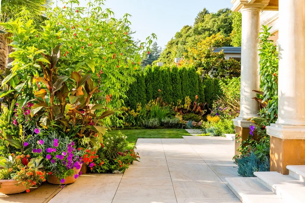 Trusted lawn mowing service experts serving Seattle, WA - Cambium