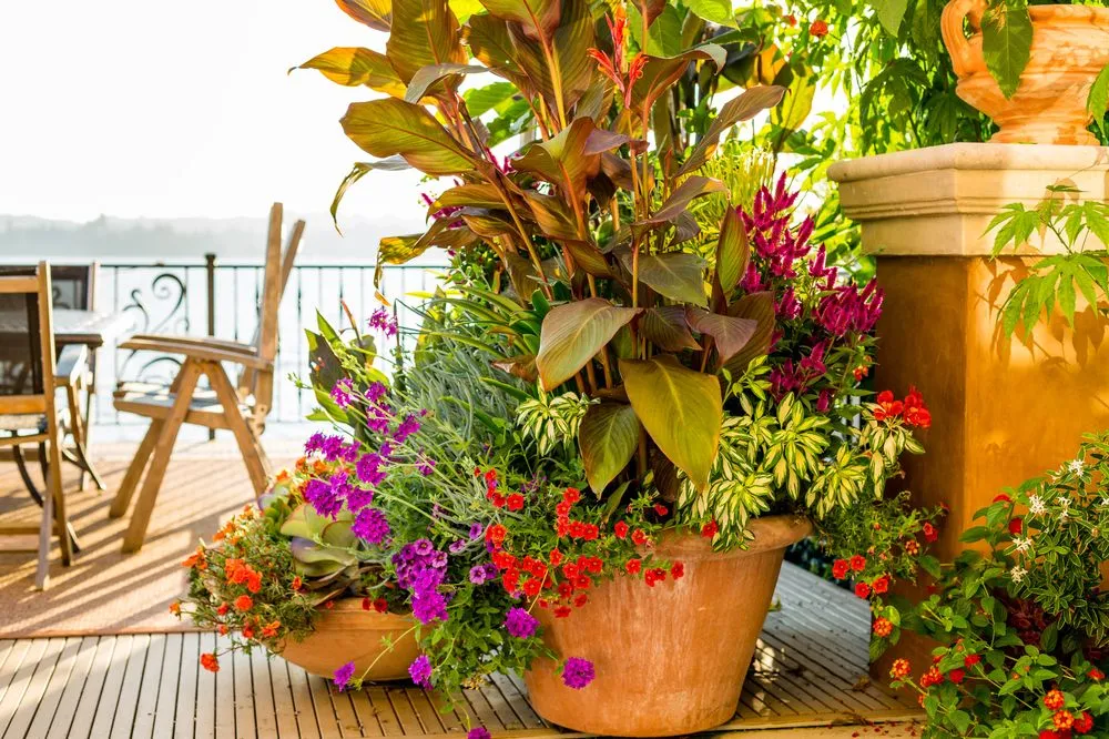 Professional outdoor landscaping for residential properties across Seattle, WA - Cambium