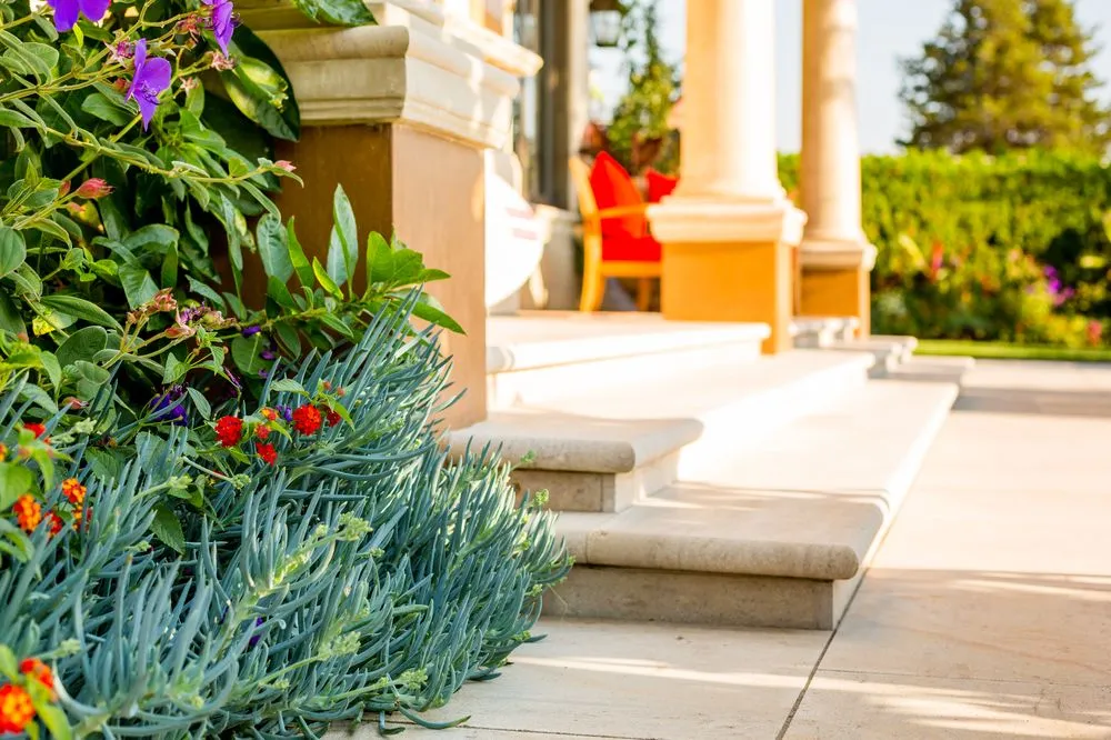 Reliable landscape design for year-round maintenance across Seattle, WA - Cambium