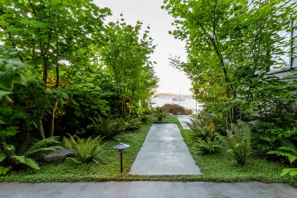 Reliable lawn mowing service in Seattle, WA by Cambium