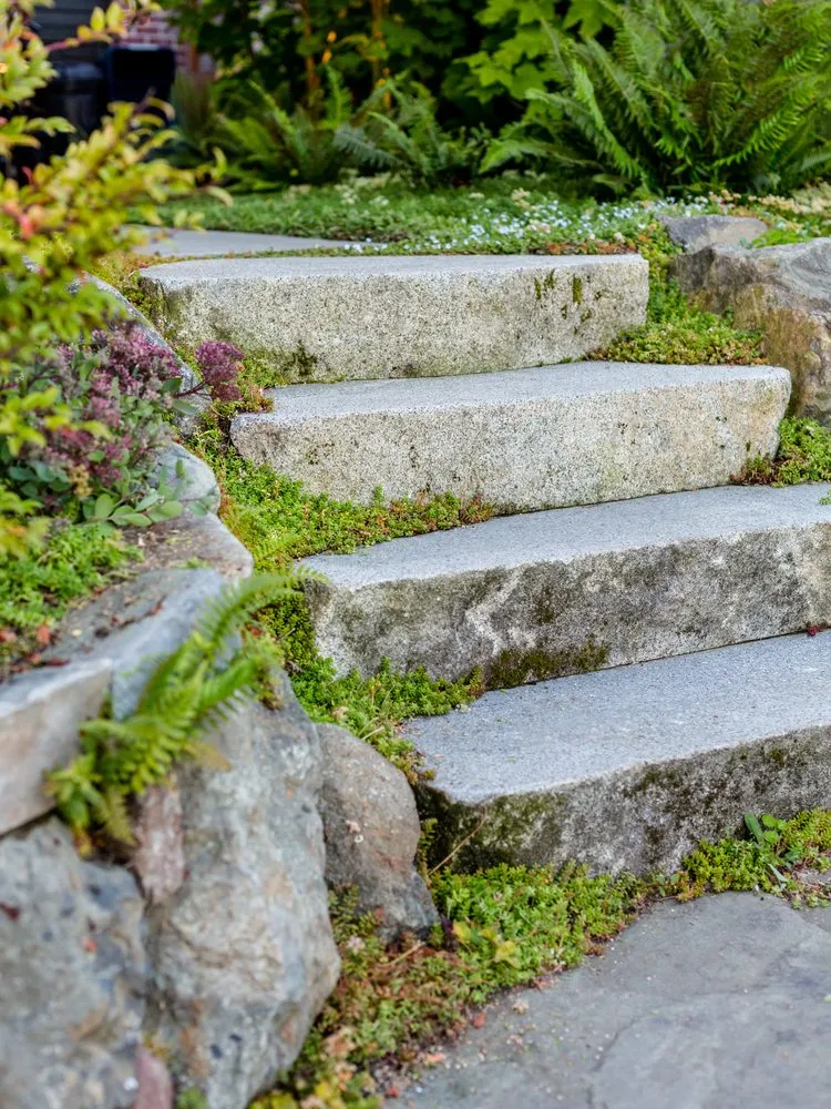 Affordable lawn mowing service near you in Seattle, WA by Cambium