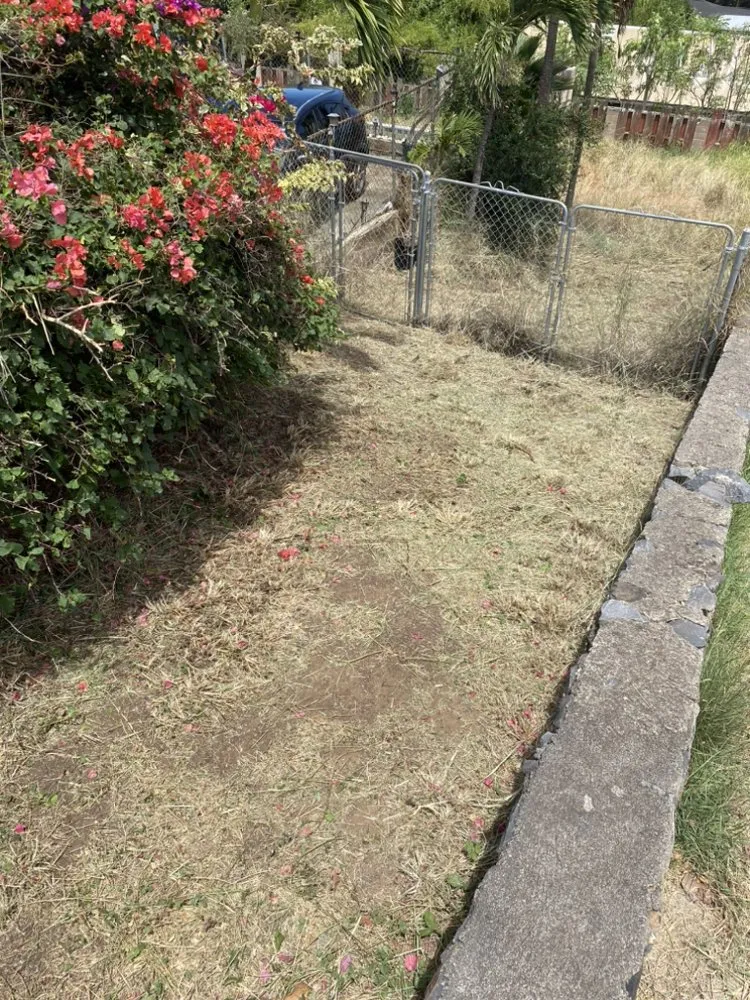 Local lawn mowing service for residential properties across Maui, HI - Cambra Cutz