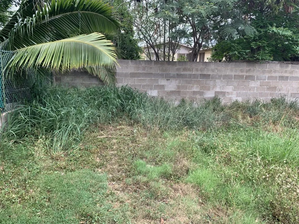 Affordable landscaping services for residential properties across Maui, HI - Cambra Cutz
