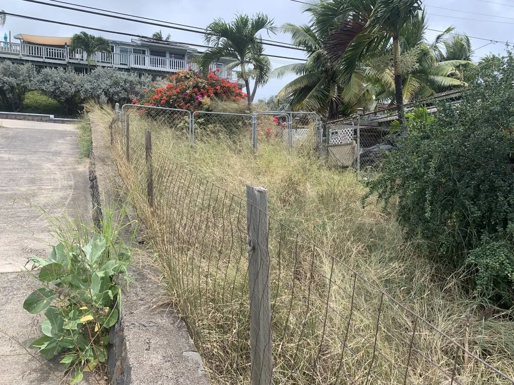 Local yard cleanup service with custom design across Maui, HI - Cambra Cutz