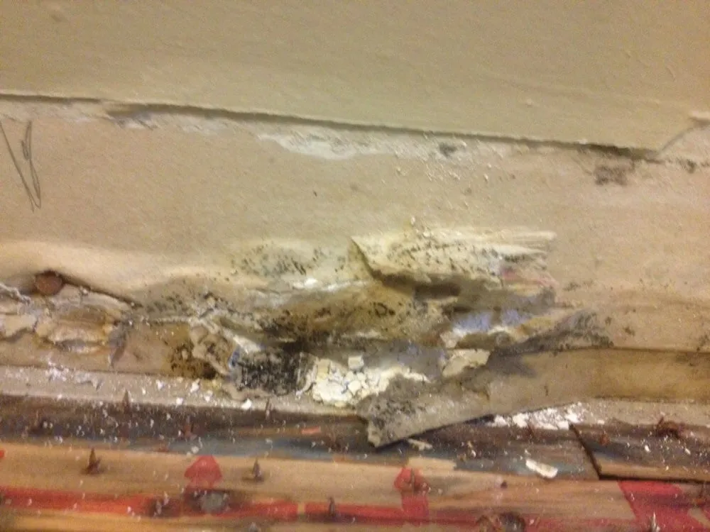 Affordable yard cleanup service with custom design across Murray, UT - Cambria Property Management