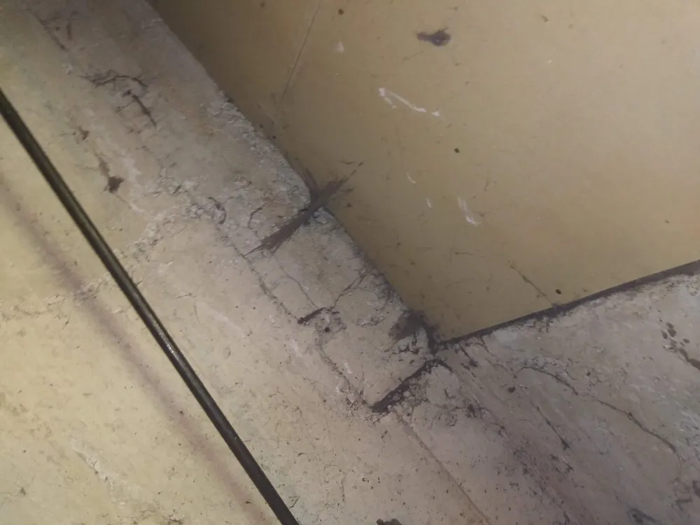 Trusted yard maintenance experts serving Murray, UT - Cambria Property Management