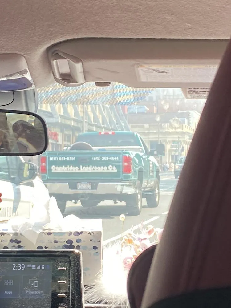 Trusted landscape installation in Cambridge, MA by Cambridge Landscape