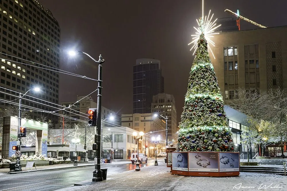 Custom outdoor landscaping in Seattle, WA - Camden Gardens
