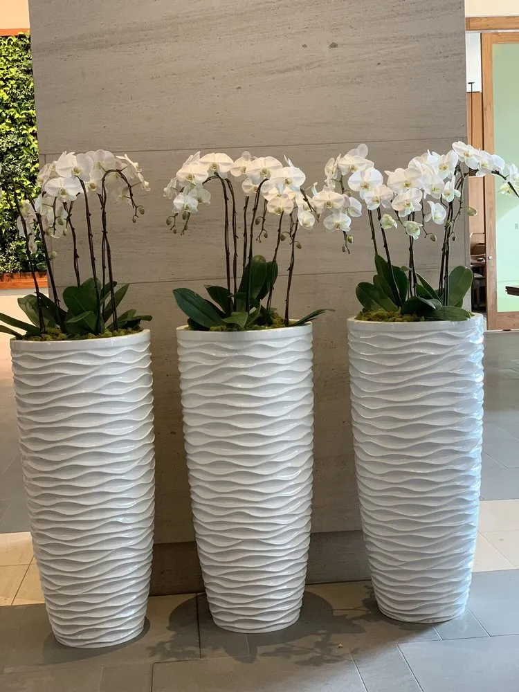 Expert landscaping services near you across Seattle, WA - Camden Gardens