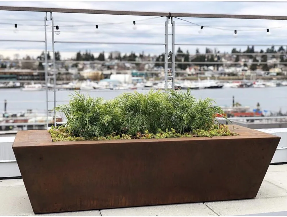 Affordable yard cleanup service in Seattle, WA by Camden Gardens