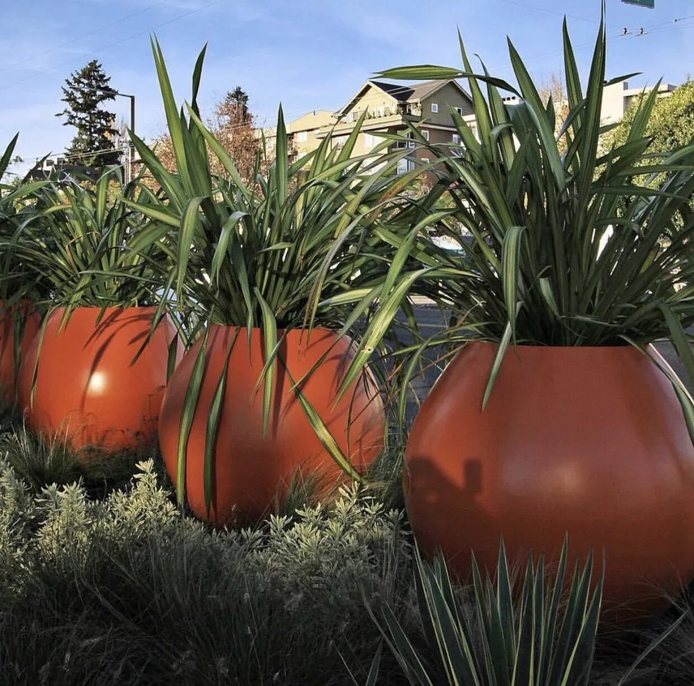 Affordable yard cleanup service in Seattle, WA - Camden Gardens