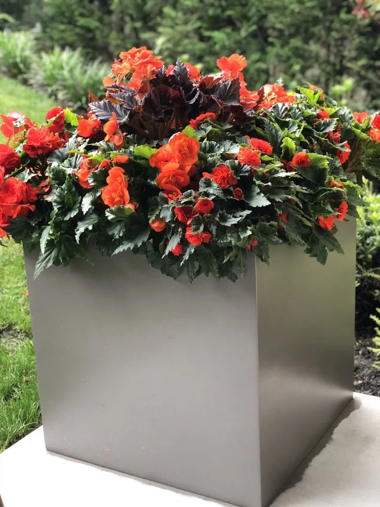 Custom landscaping services experts serving Seattle, WA - Camden Gardens