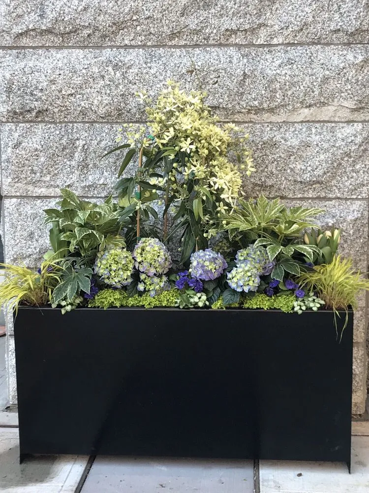 Local yard cleanup service in Seattle, WA - Camden Gardens