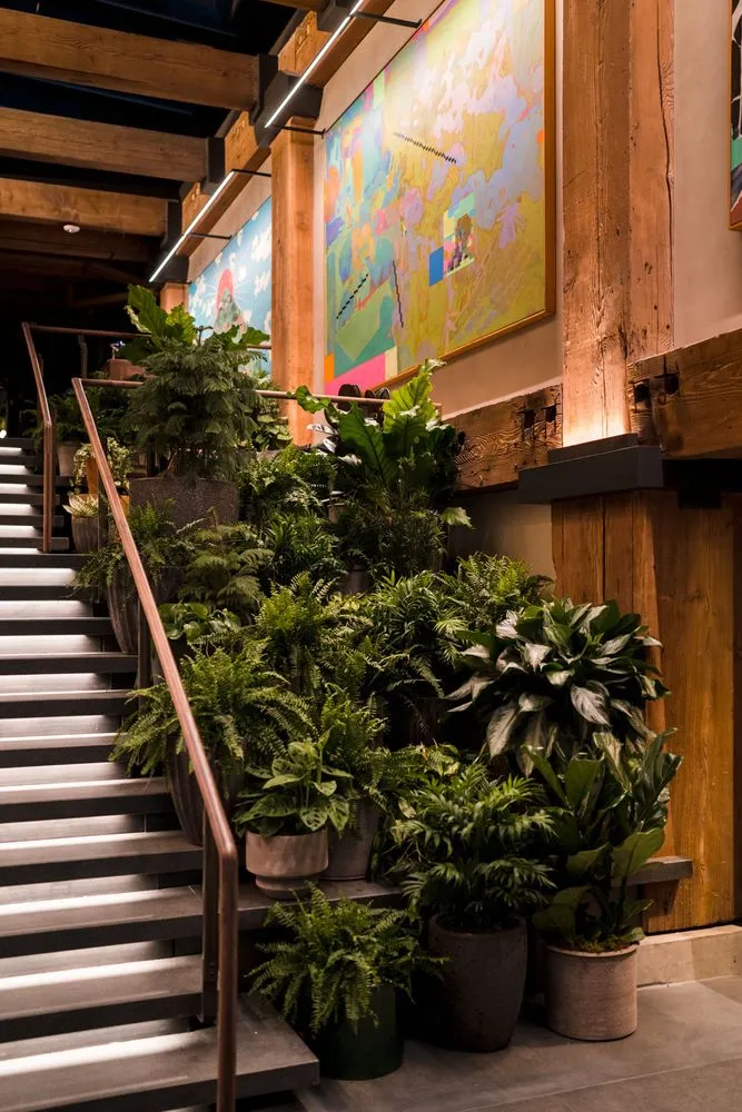 Local landscaping services experts serving Seattle, WA - Camden Gardens