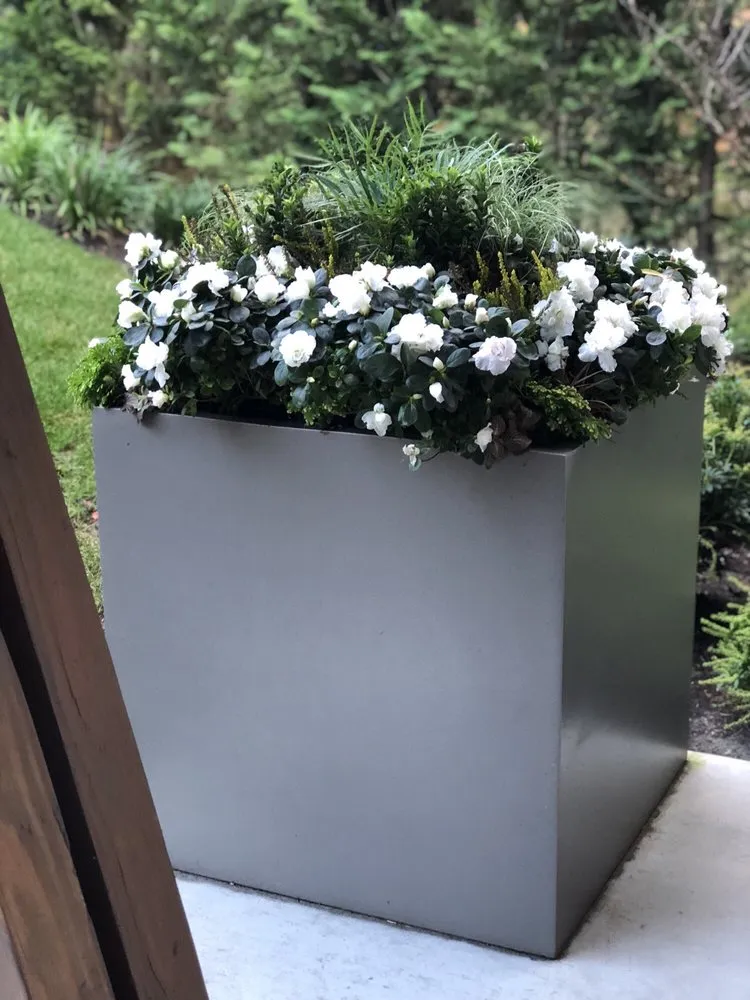 Top-rated garden landscaping experts serving Seattle, WA - Camden Gardens