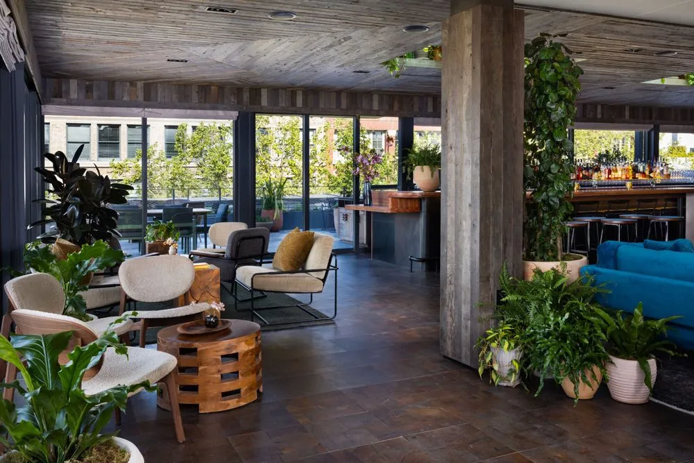 Custom yard cleanup service in Seattle, WA by Camden Gardens