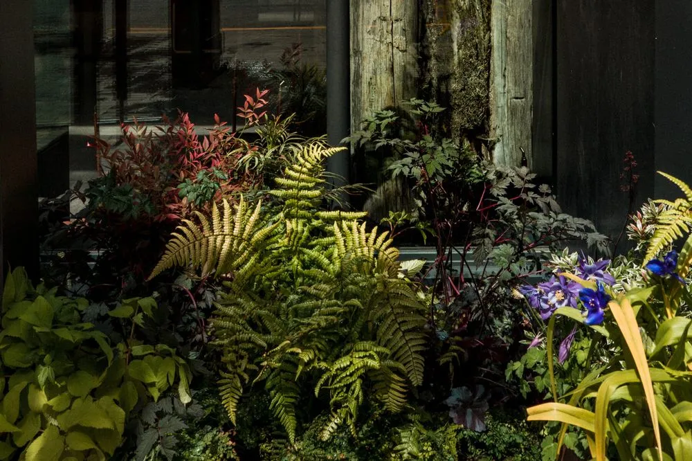 Expert yard cleanup service experts serving Seattle, WA - Camden Gardens