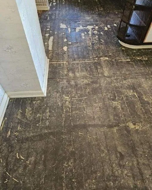 Custom garden landscaping in Austin, TX by Camden's Revolution Construction