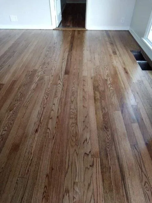 Custom lawn care service for homes across Austin, TX - Camden's Revolution Construction