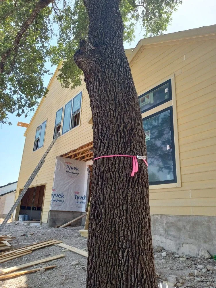 Local landscape installation for beautiful yards across Austin, TX - Camden's Revolution Construction
