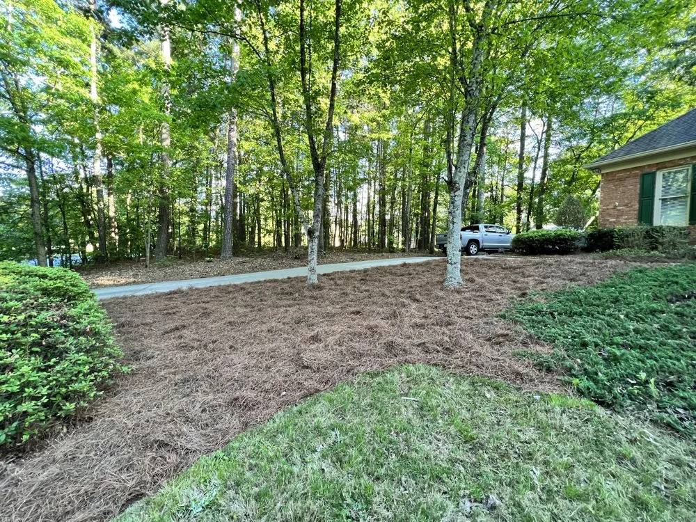 Custom residential landscaping with custom design across Lawrenceville, GA - Camden's Yards