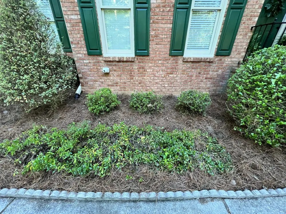 Top-rated yard maintenance in Lawrenceville, GA - Camden's Yards