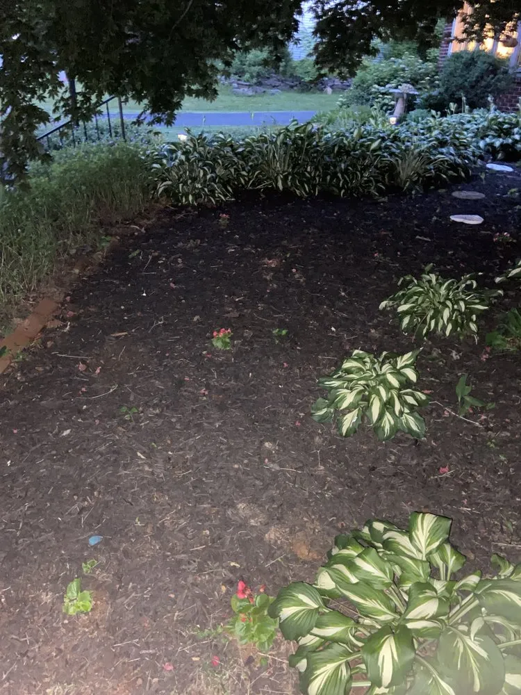 Professional lawn care service near you in Sellersville, PA by Camdler Landscaping