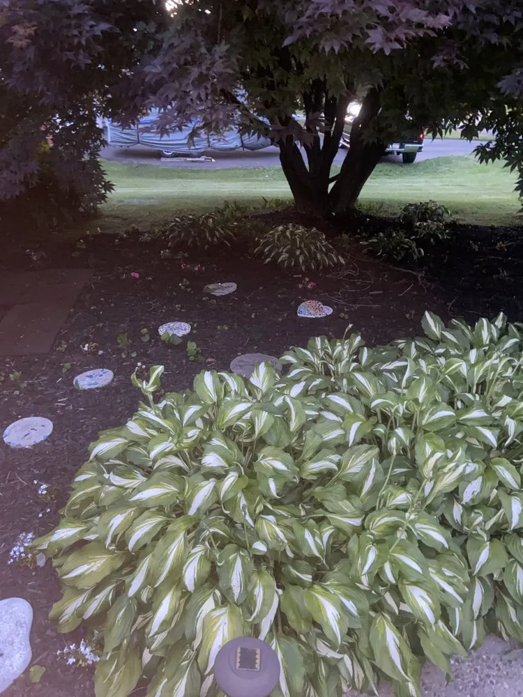 Trusted yard maintenance experts serving Sellersville, PA - Camdler Landscaping