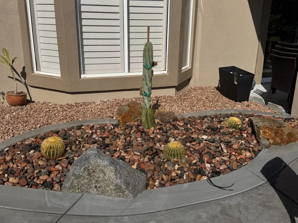 Local yard cleanup service for beautiful yards across Palm Springs, CA - Camel Desert Landscape