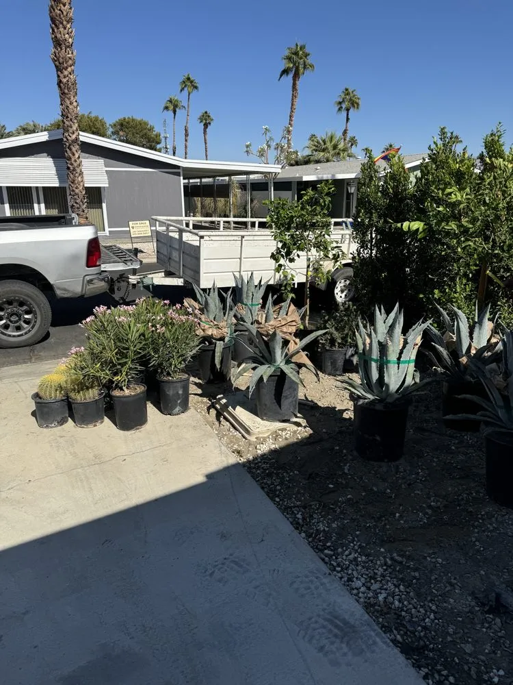 Professional lawn care service experts serving Palm Springs, CA - Camel Desert Landscape