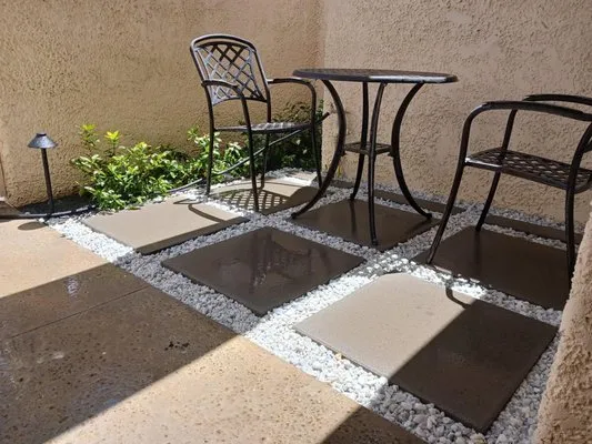 Camel Desert Landscape Logo