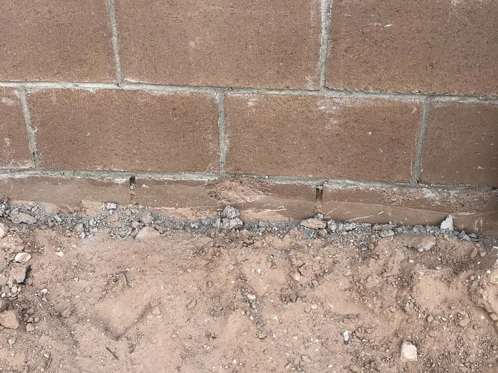 Top-rated yard cleanup service in Albuquerque, NM - Camel Rock Landscapes