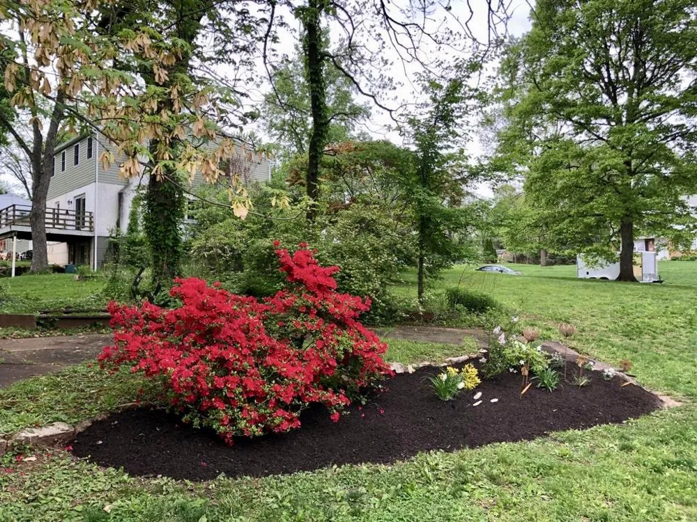 Reliable landscaping services in Royersford, PA by Camelia Lawn Care