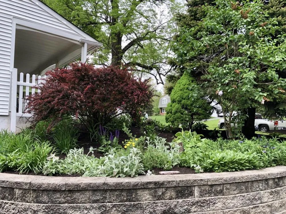 Top-rated landscape installation near you in Royersford, PA by Camelia Lawn Care