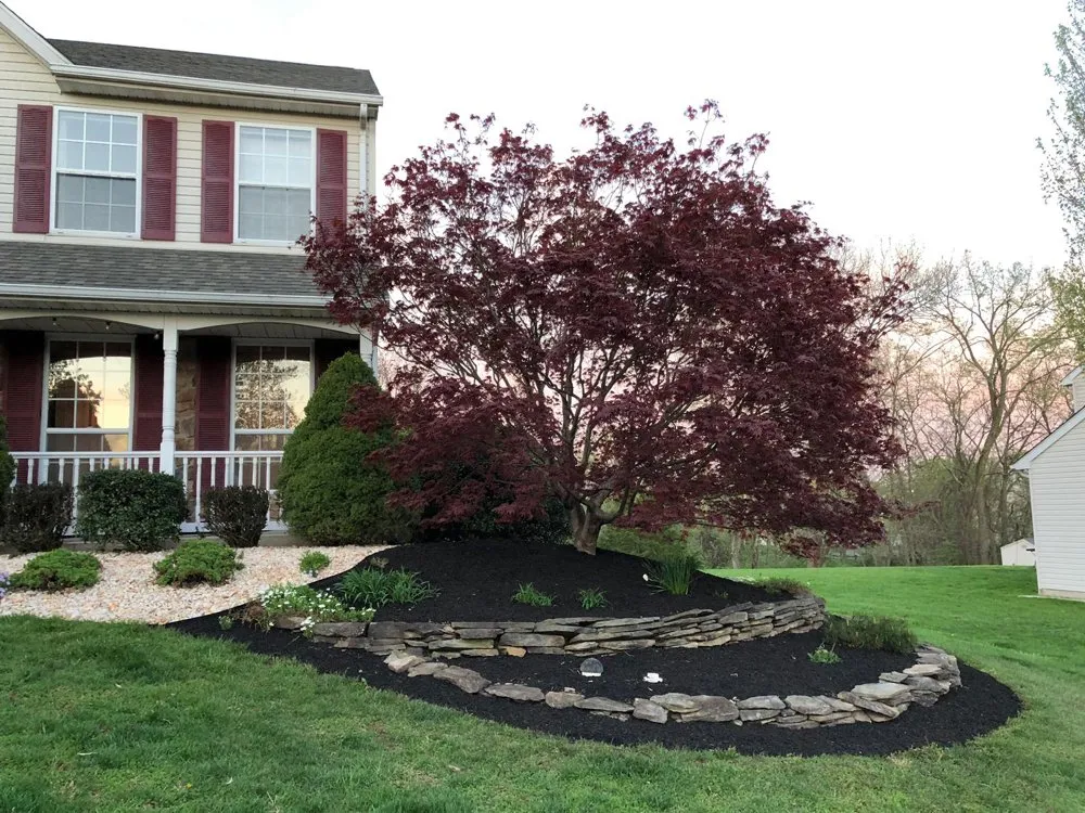 Top-rated landscape design experts serving Royersford, PA - Camelia Lawn Care
