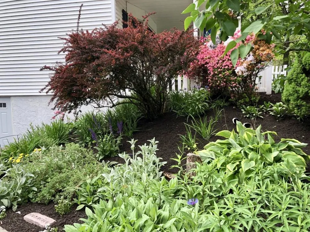 Custom yard maintenance for outdoor upgrades in Royersford, PA by Camelia Lawn Care