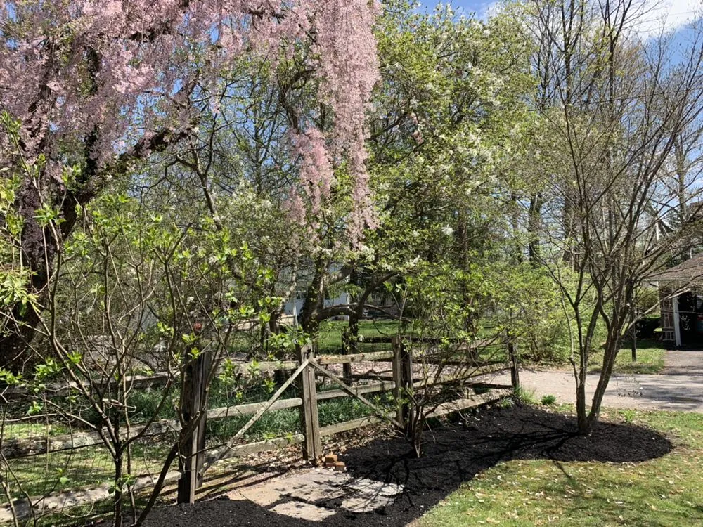 Trusted lawn mowing service for year-round maintenance across Royersford, PA - Camelia Lawn Care