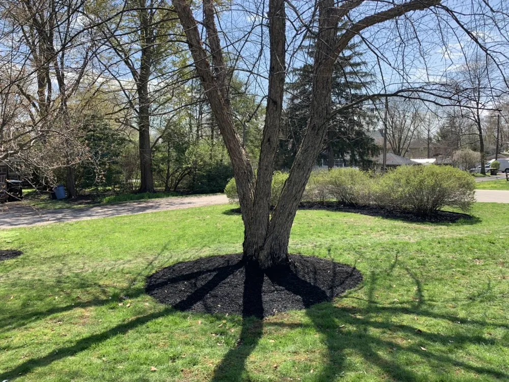 Affordable garden landscaping in Royersford, PA - Camelia Lawn Care